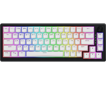 Ігрова клавіатура Hator Skyfall 65 Wireless Black-White / Linear (HTK3160UA)