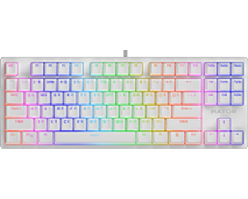 Gaming keyboard Hator Rockfall 2 Mecha TKL Orange White (HTK-521)